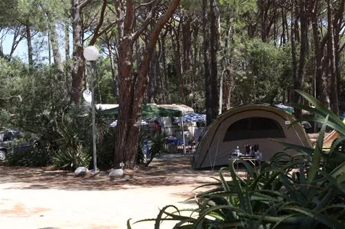 la-pinede-calvi-dorqi