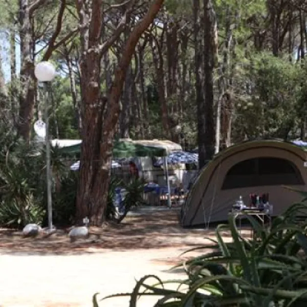 la-pinede-calvi-dorqi