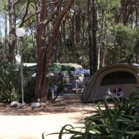 la-pinede-calvi-dorqi
