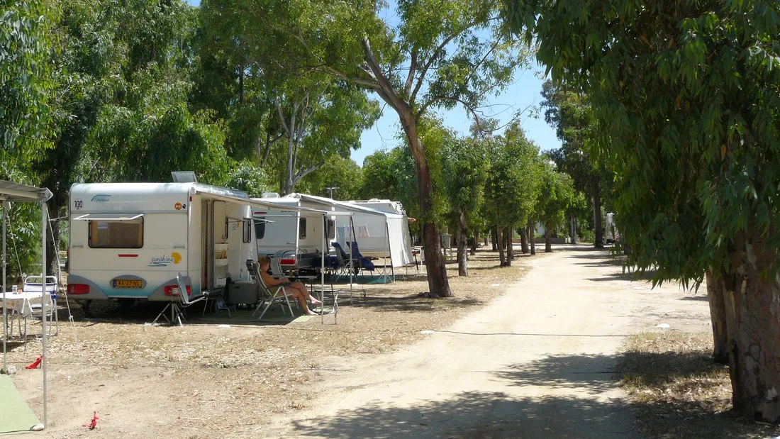 la-pinede-calvi-jfjru