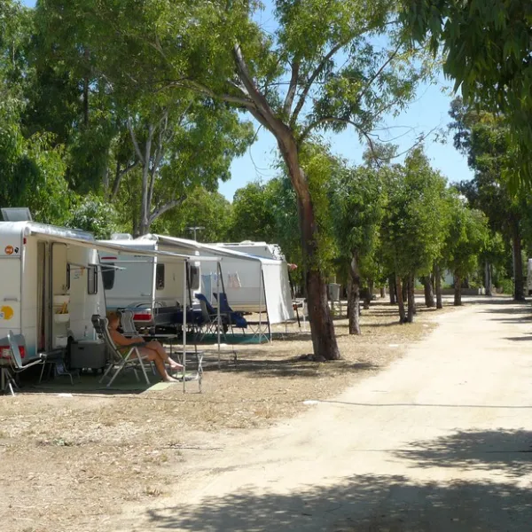 la-pinede-calvi-jfjru