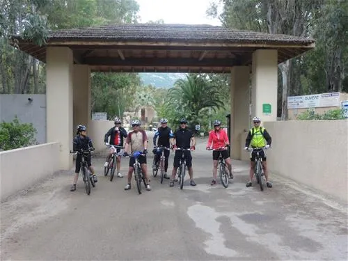 la-pinede-calvi-mdss0