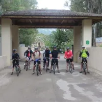 la-pinede-calvi-mdss0