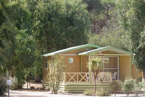la-pinede-calvi-oxii6