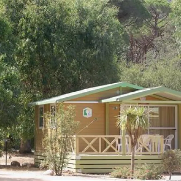 la-pinede-calvi-oxii6