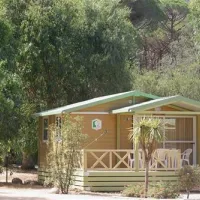 la-pinede-calvi-oxii6