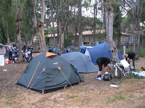 la-pinede-calvi-tjgkp