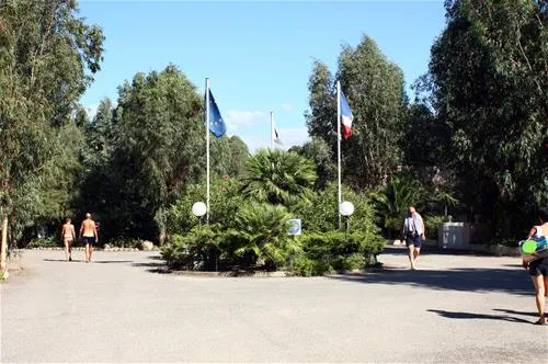 la-pinede-calvi-xzdmg