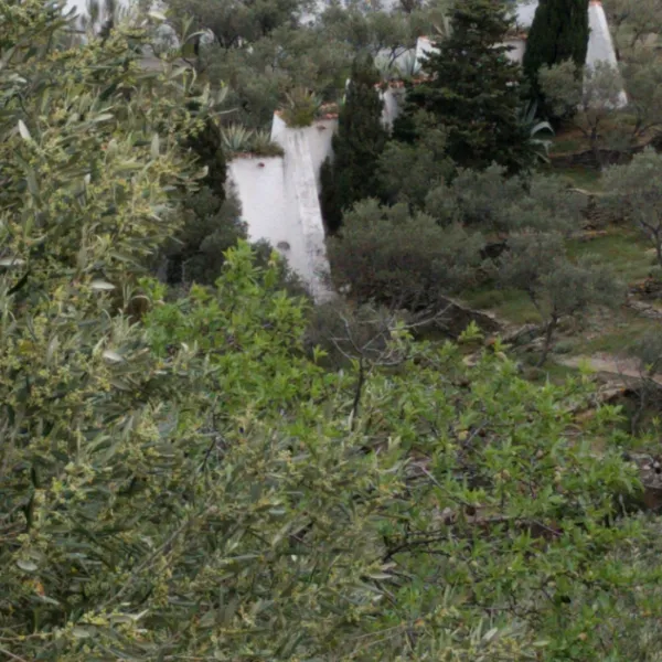 macanet-de-cabrenys-macanet-de-cabrenys-bxezi