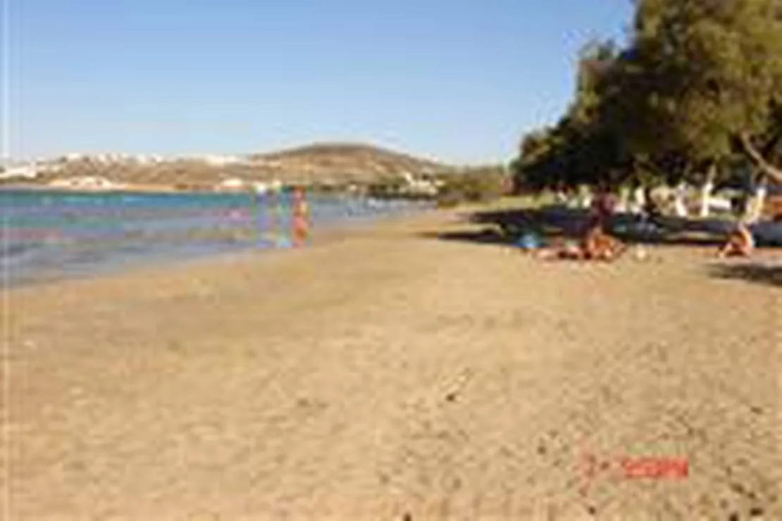 camping-naoussa-paros-naoussa-paros-b7ebi