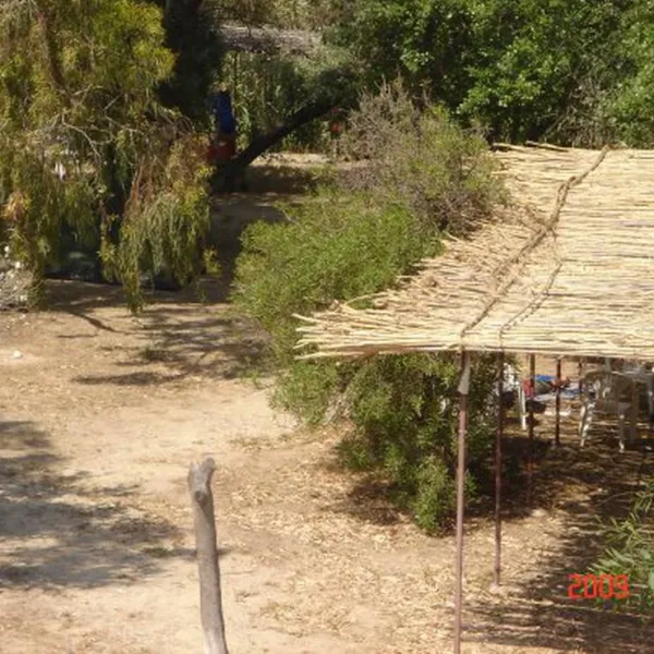 camping-naoussa-paros-naoussa-paros-yfnal
