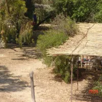 camping-naoussa-paros-naoussa-paros-yfnal