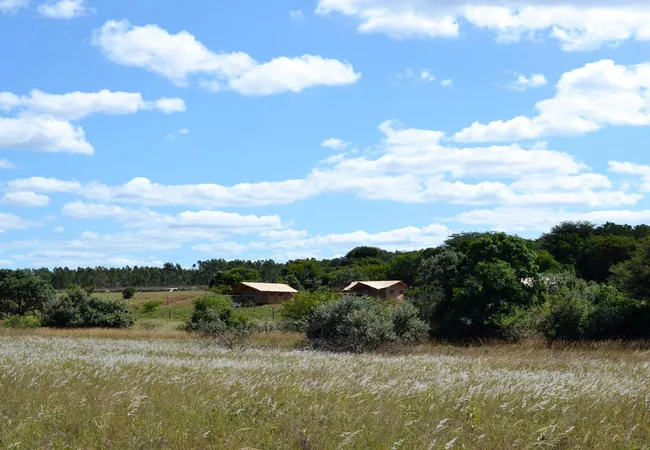 hluhluwe-glamping-village-3960-zululand-wt6fo