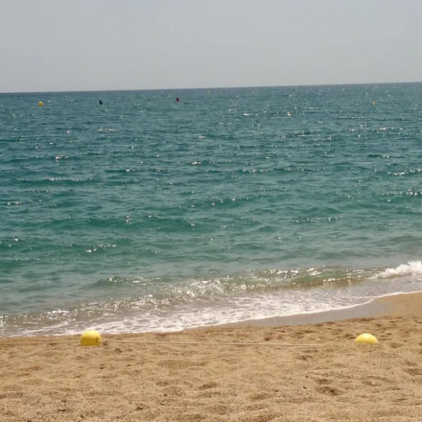 el-carlitos-canet-de-mar-qr0qy