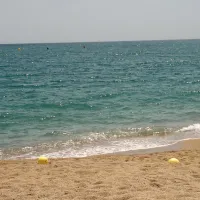 el-carlitos-canet-de-mar-qr0qy