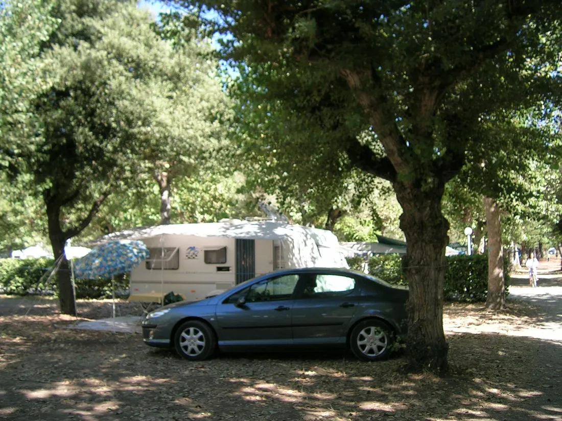 campeggio-val-di-sole-bolsena-bvsr6