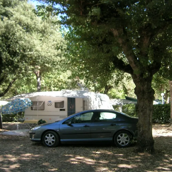 campeggio-val-di-sole-bolsena-bvsr6