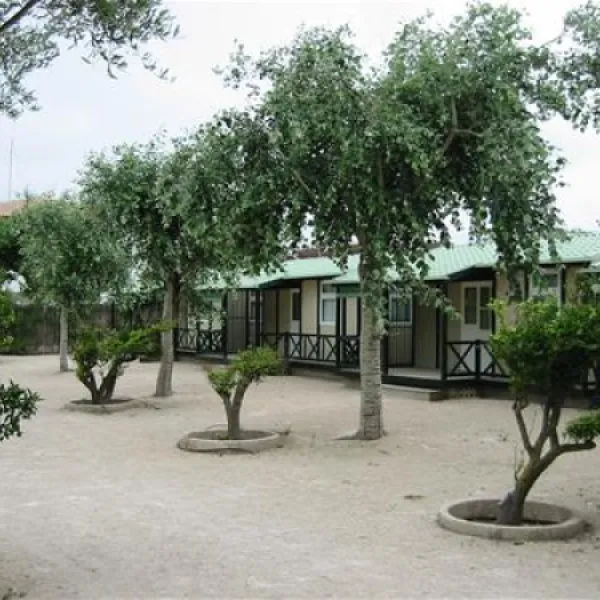 camping-ole-oliva-lrpq1