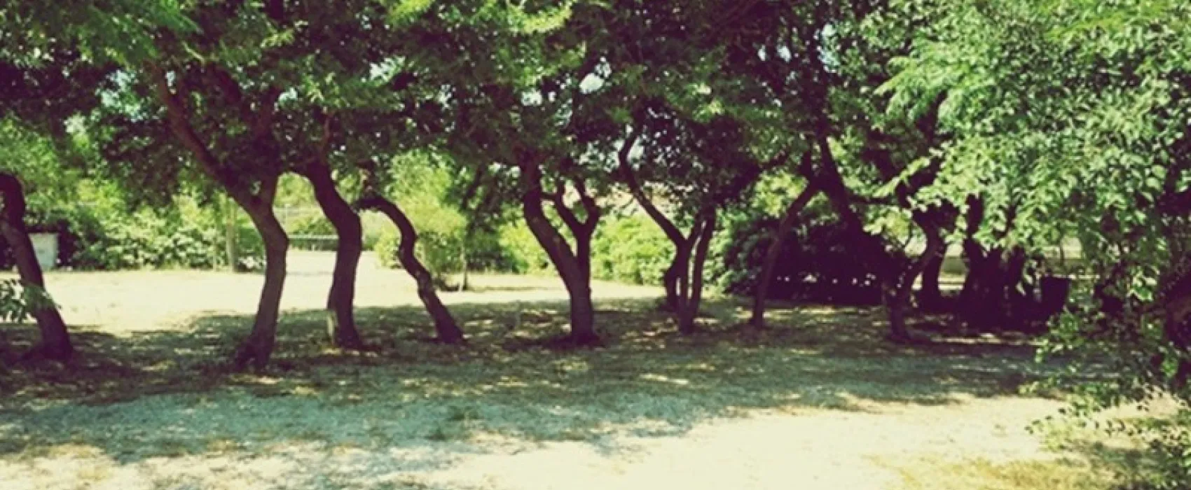 Camping Peros