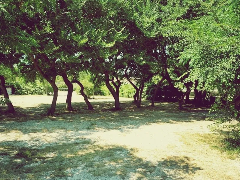 camping-peros-nin-y0vce