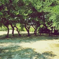 camping-peros-nin-y0vce