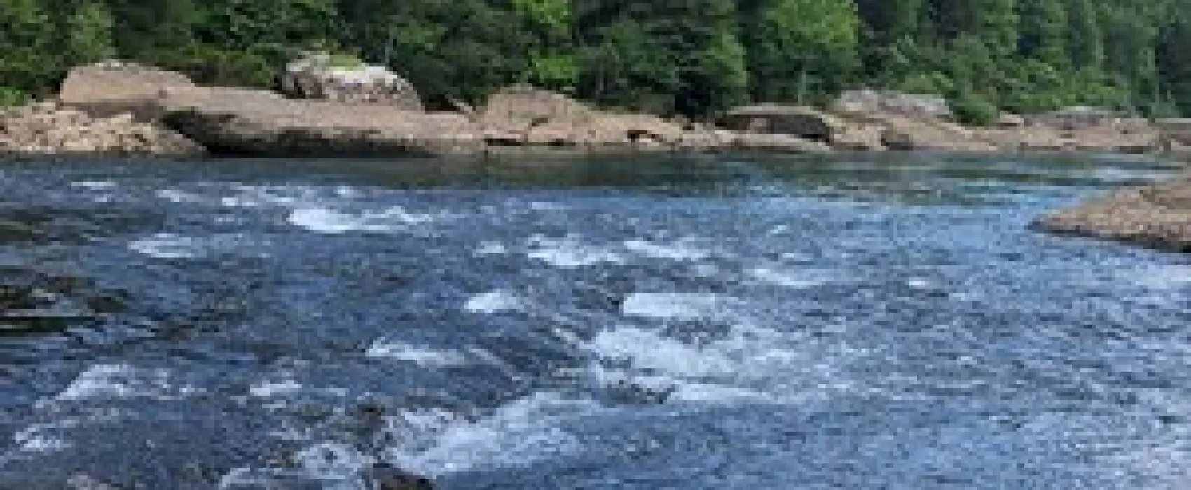 Gauley Tailwaters Campground