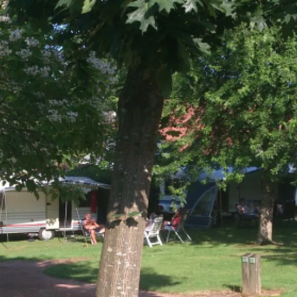 camping-municipal-les-feuilles-chauffailles-jpvpw