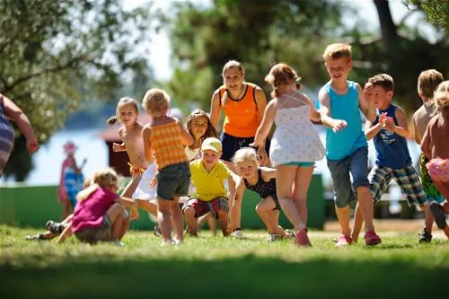 camping-valdaliso-rovinj-aovox