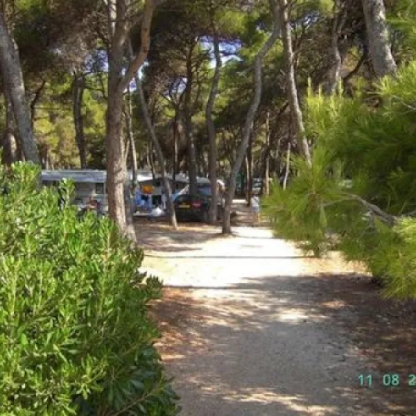 camping-valdaliso-rovinj-jfxtx