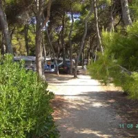 camping-valdaliso-rovinj-jfxtx