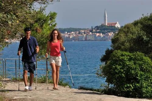 camping-valdaliso-rovinj-tetfk