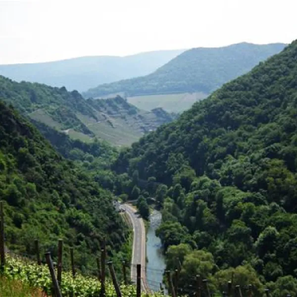 camping-viktoria-station-kreuzbergaltenahr-ruyd4