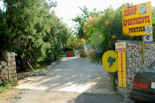 autocamp-puntica-razanac-ayukc
