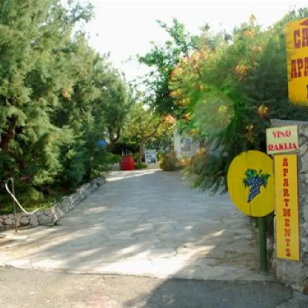 autocamp-puntica-razanac-ayukc
