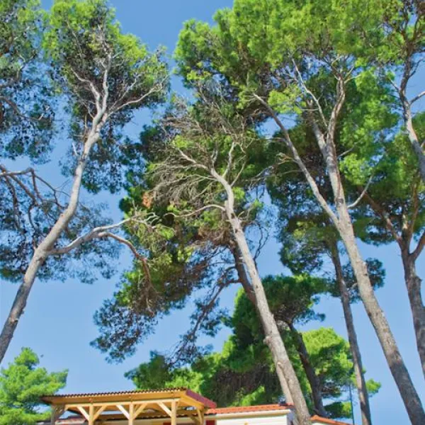 camping-padova-iii-rab-lt9e9
