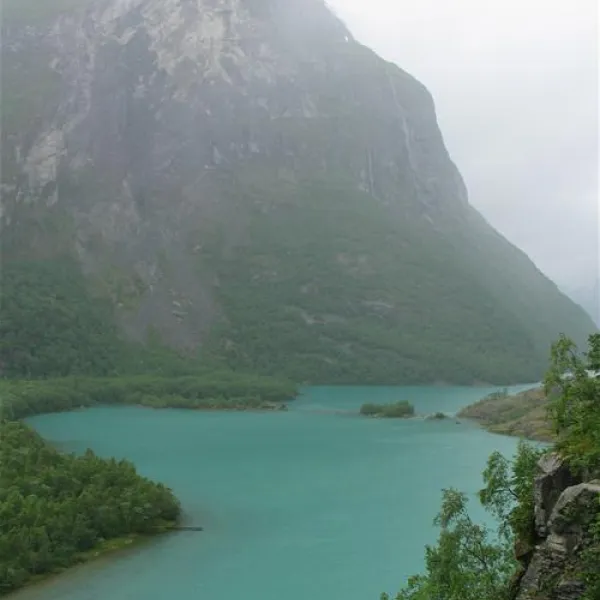 pluscamp-sande-loen-qrmme