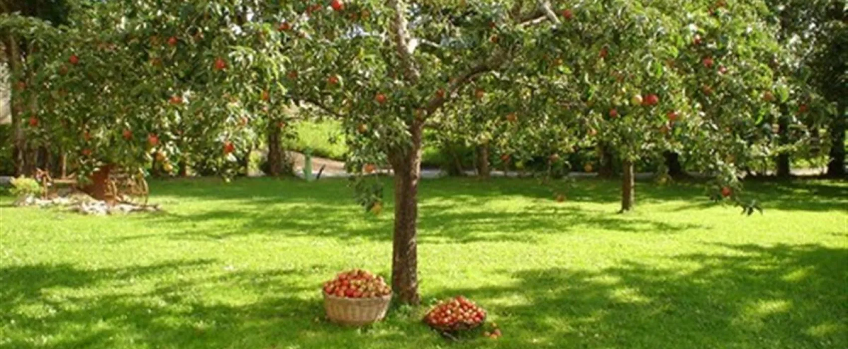 Camping Gauglerhof