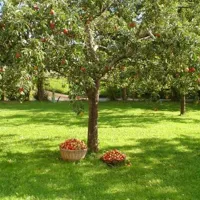 camping-gauglerhof-millstatt-vaykw