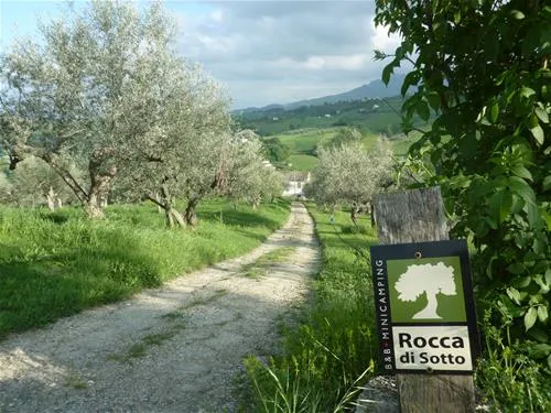 minicamping-rocca-di-sotto-penne-ezsqa