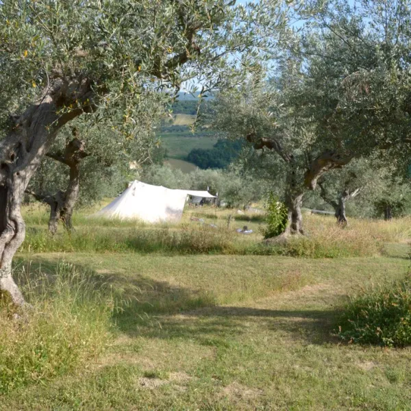 minicamping-rocca-di-sotto-penne-vrejf