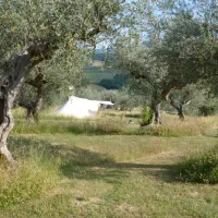 minicamping-rocca-di-sotto-penne-vrejf