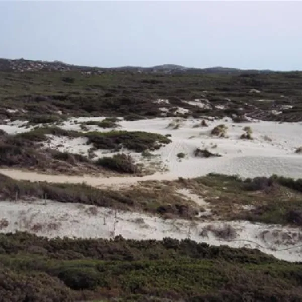 camping-la-liccia-santa-teresa-gallura-8uakw