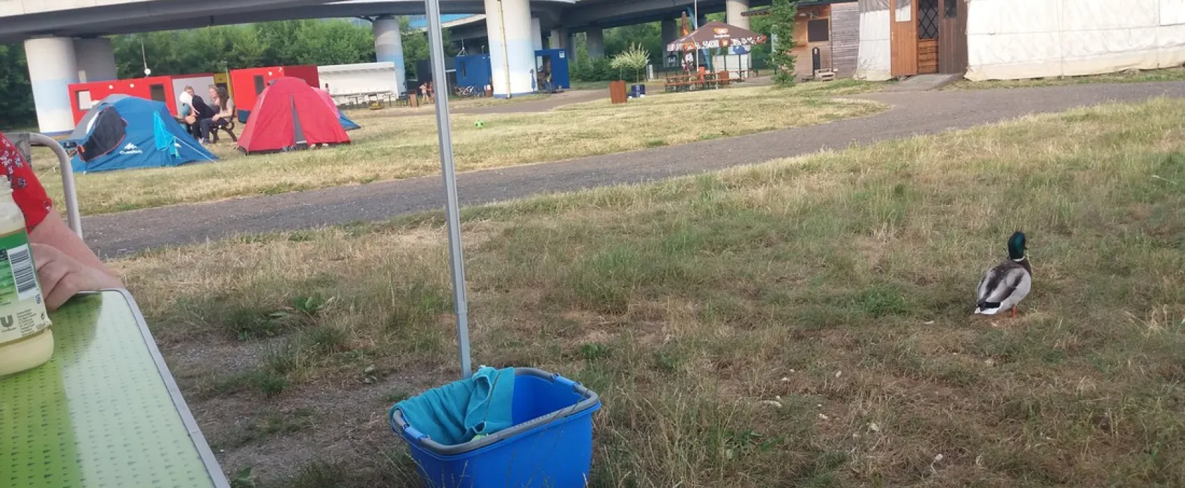 Campingplatz Jena unter dem Jenzig