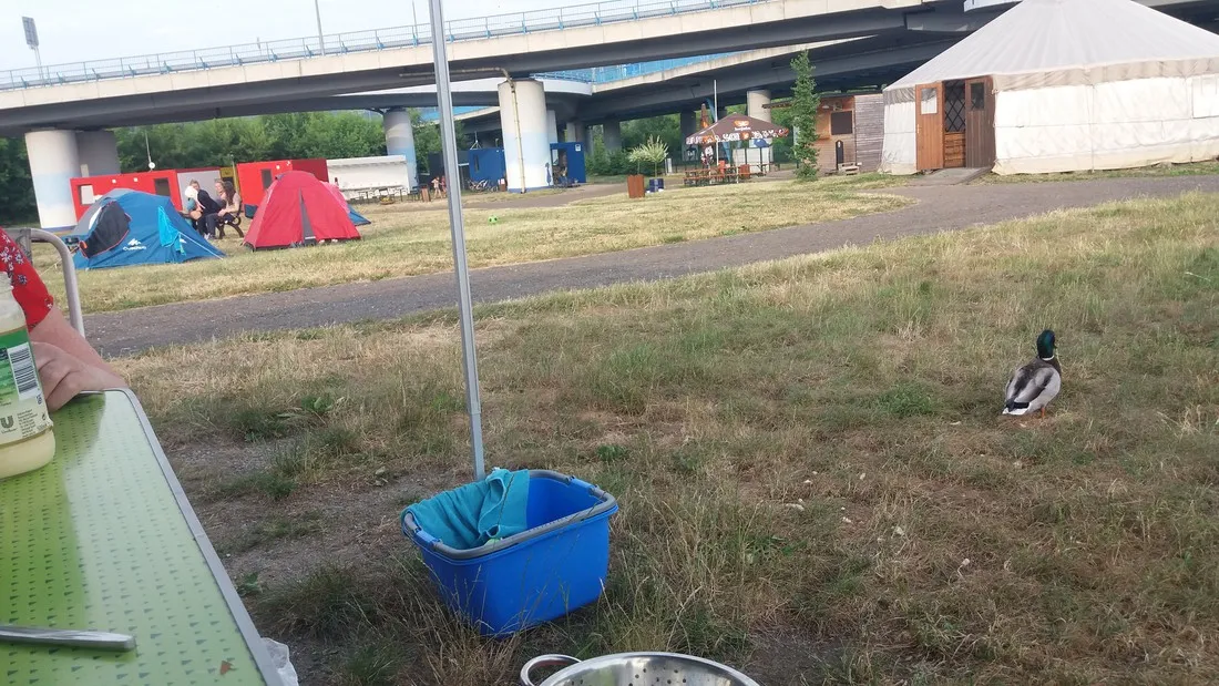campingplatz-jena-unter-dem-jenzig-jena-e01ak