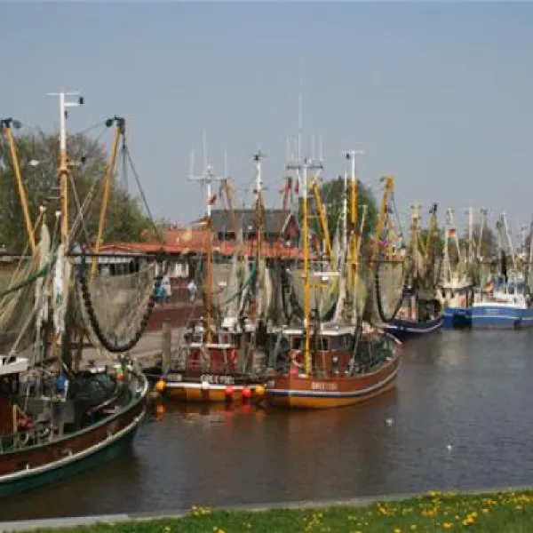 camping-am-deich-nordsee-krummhrnupleward-aafc7