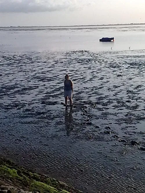 camping-am-deich-nordsee-krummhrnupleward-mi3eq