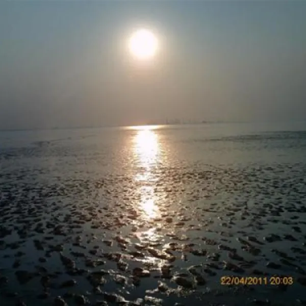 camping-am-deich-nordsee-krummhrnupleward-ra3ub