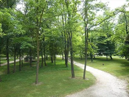 camping-le-lion-ardche-z3lfu