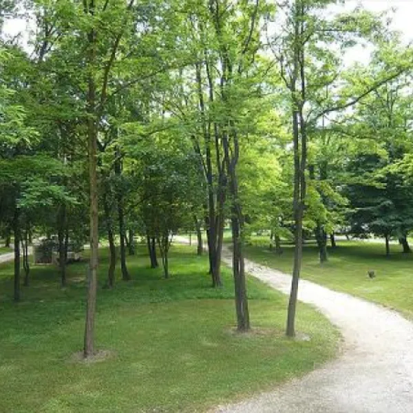 camping-le-lion-ardche-z3lfu