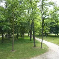 camping-le-lion-ardche-z3lfu